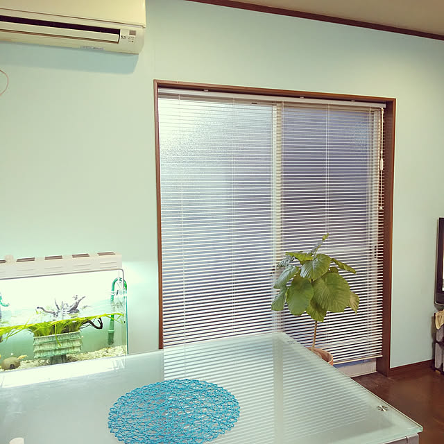 nao.chappy0809さんの実例写真