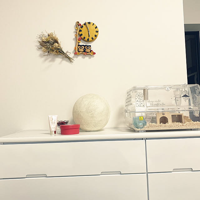 itoeさんの実例写真