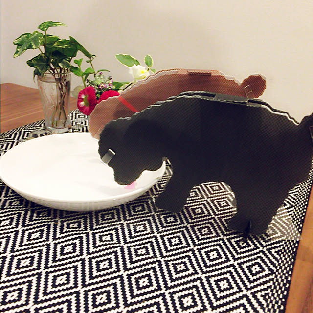 実例写真