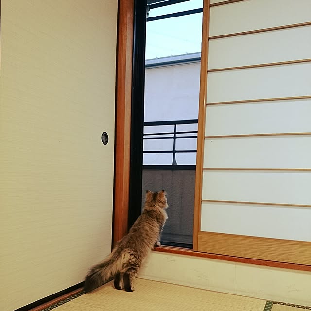 hanaさんの実例写真