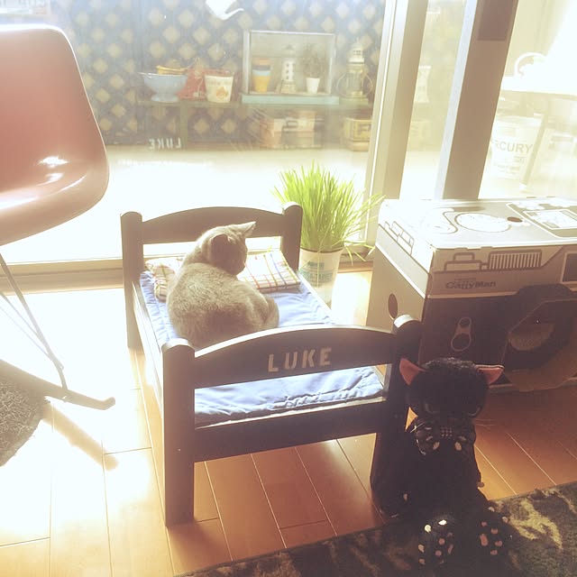 Shojiさんの実例写真