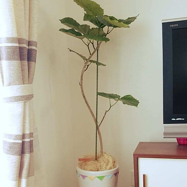 sp-flo.1112さんの実例写真