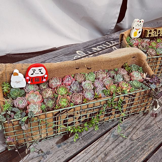 mocomocoさんの部屋
