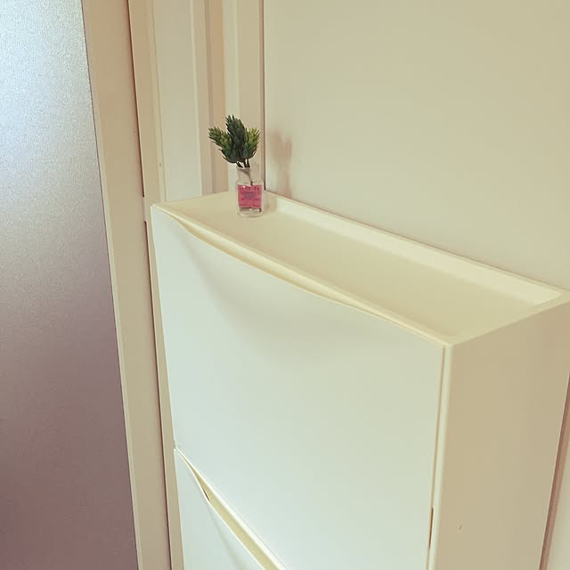 wanpikuさんの実例写真