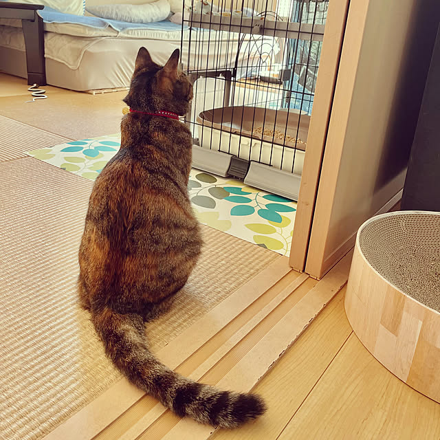chiiさんの部屋