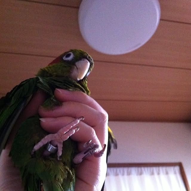 165さんの実例写真