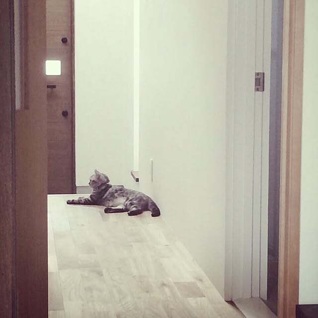 mi--さんの実例写真