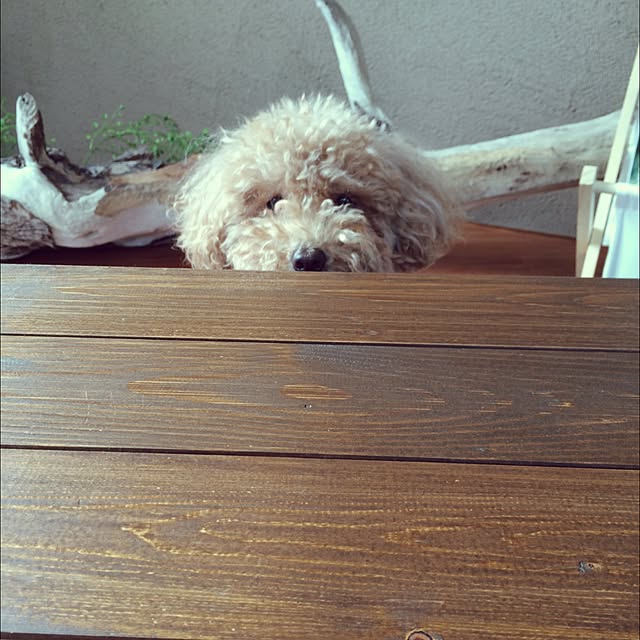 kznrさんの実例写真