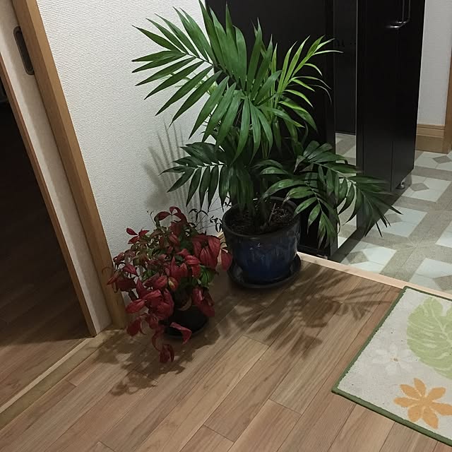 実例写真