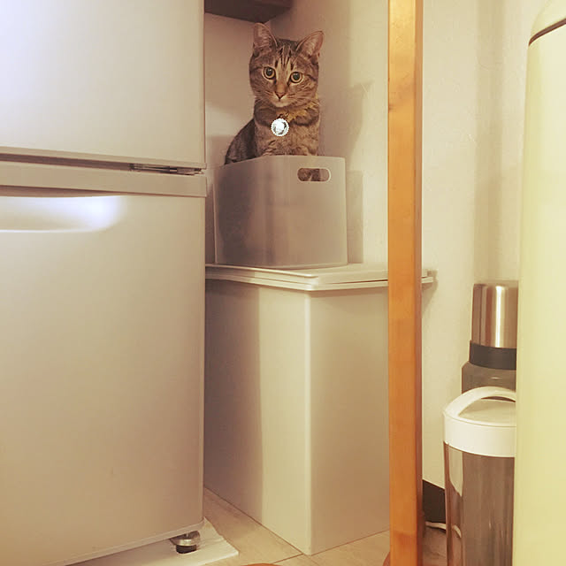 Mさんの実例写真