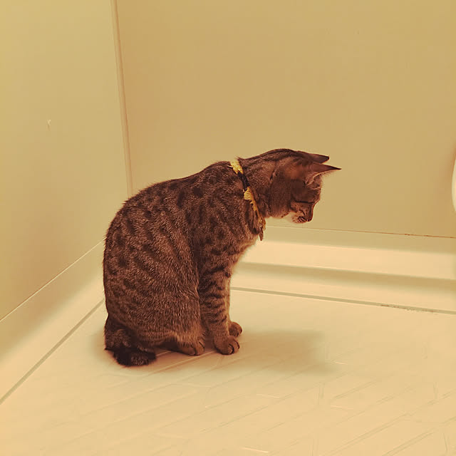 Mさんの実例写真