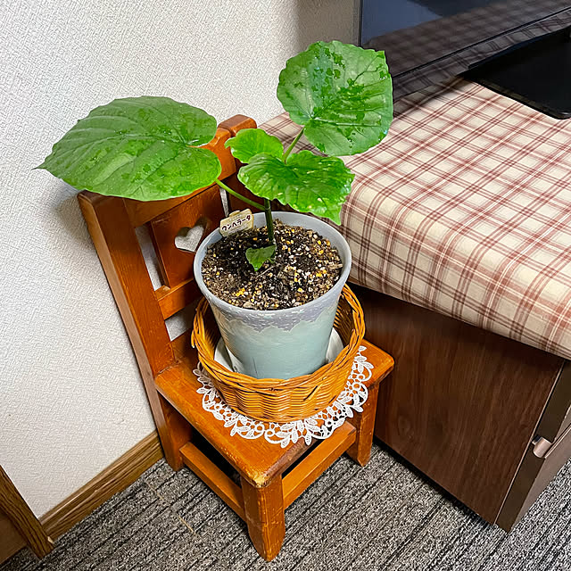 ronronさんの実例写真