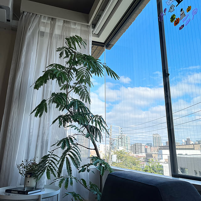 peachtea918さんの実例写真
