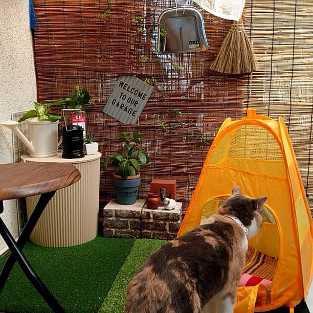 fukuさんの実例写真