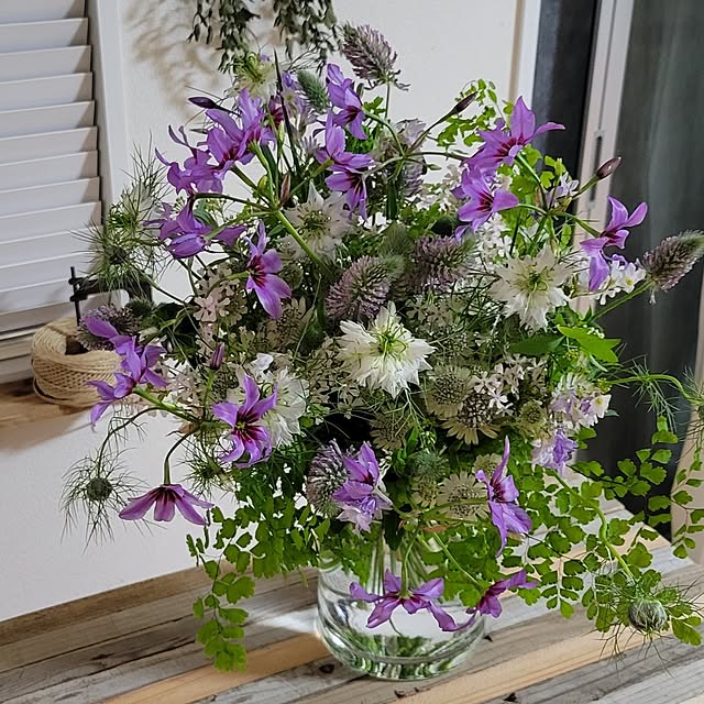 akiak.3さんの実例写真