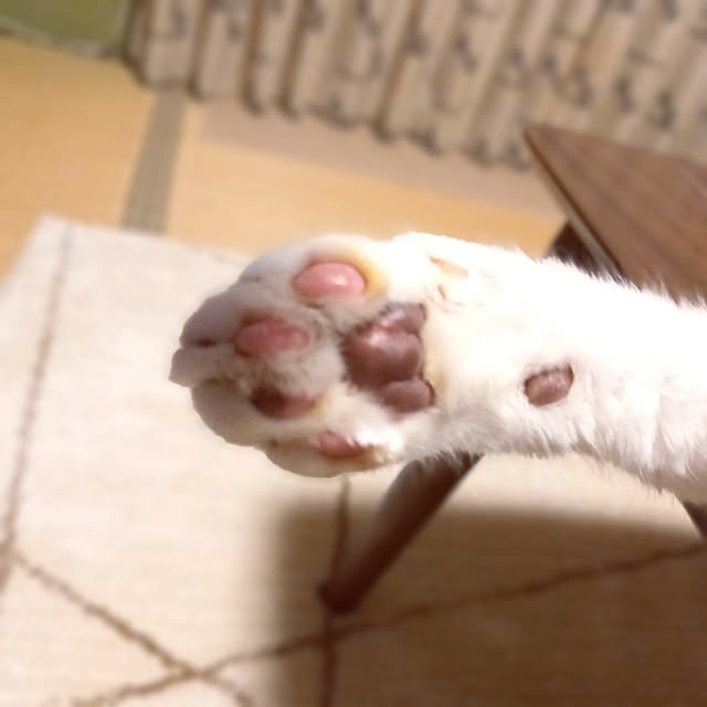 rhuさんの実例写真