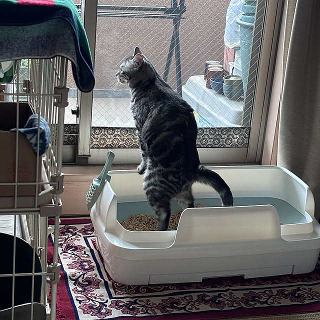 yuzuaoさんの部屋