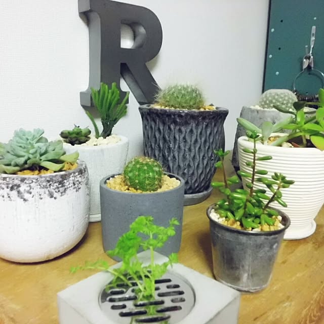 R-TYPEさんの実例写真