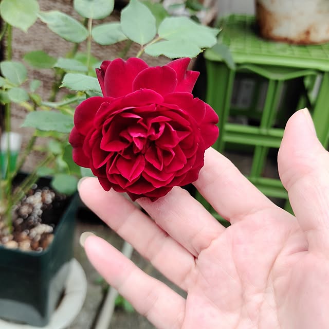 kiraさんの部屋