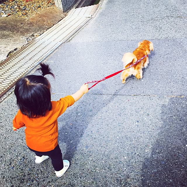 Eriさんの実例写真