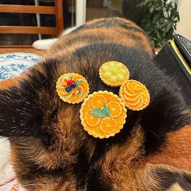 o.kanさんの部屋