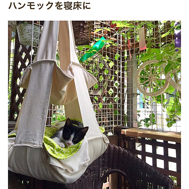 butachanさんの実例写真