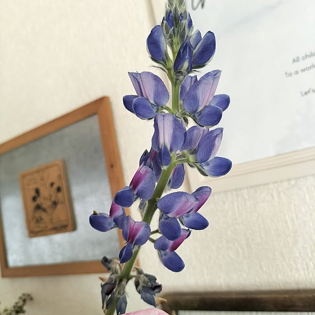 aoiroさんの部屋