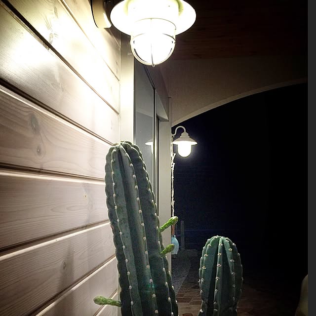 joeさんの実例写真