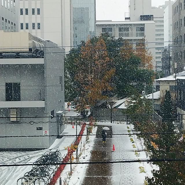 bonoさんの実例写真