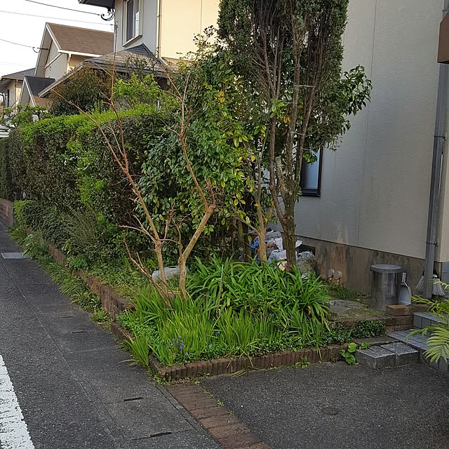 kuroさんの実例写真
