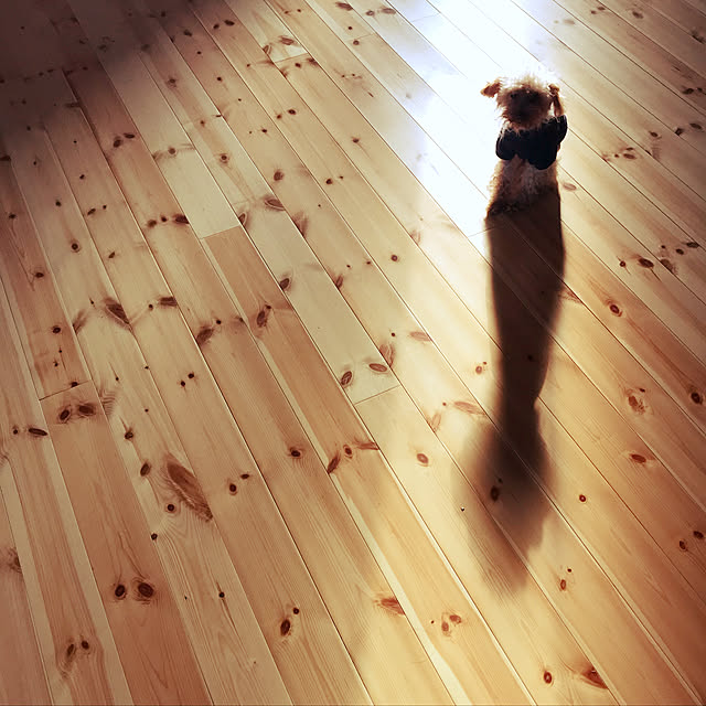 shizukaさんの実例写真