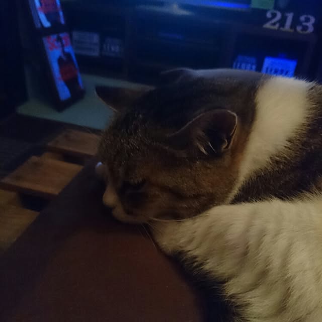 427klandさんの実例写真