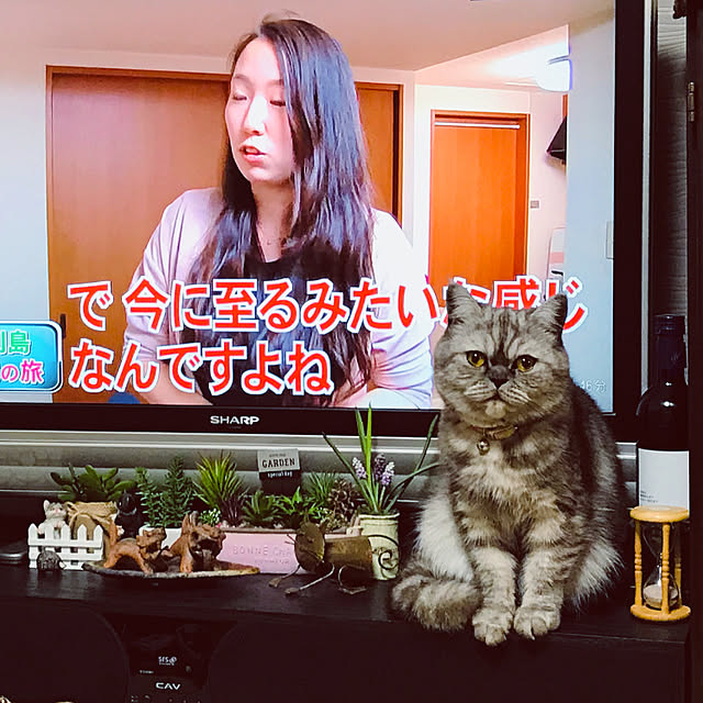 Marinさんの実例写真