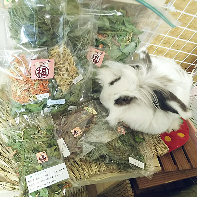 WASABIさんの実例写真