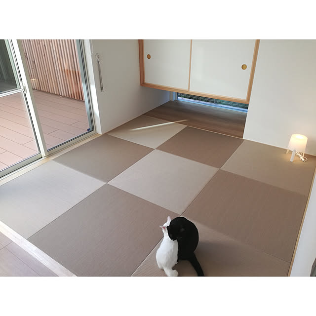 aMaさんの実例写真