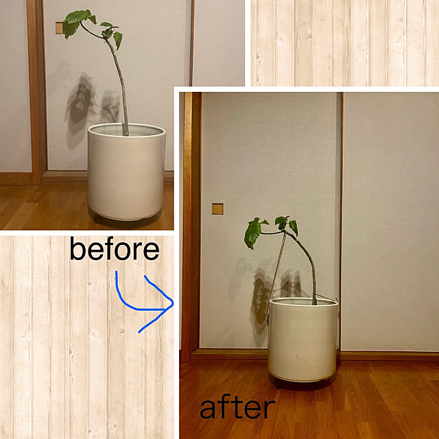 botanさんの実例写真