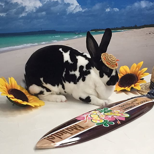 marbleさんの実例写真