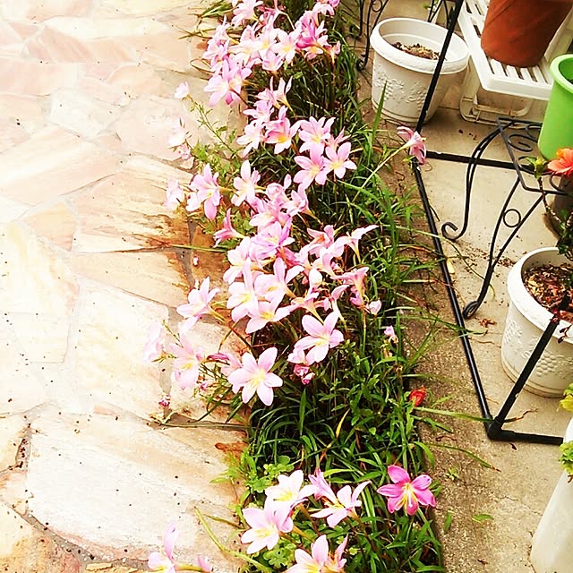 Tomopさんの実例写真