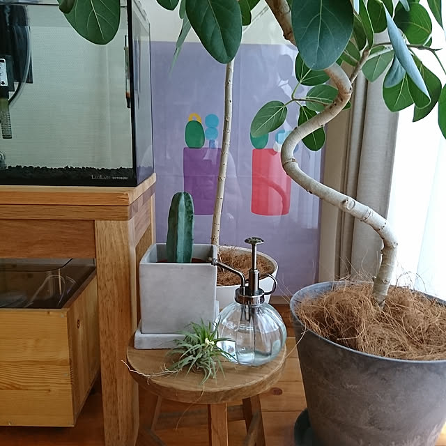 renyanyaさんの実例写真