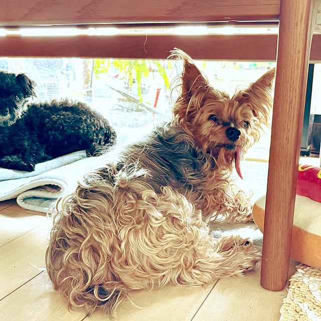 maqfabさんの部屋