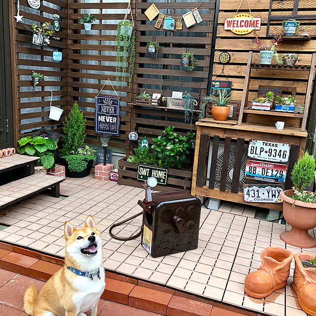 ronmaruさんの実例写真