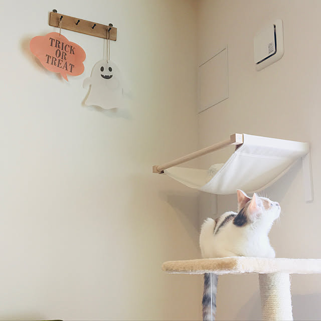 i_ayuyuさんの実例写真