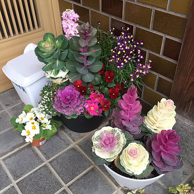 Gooさんの実例写真