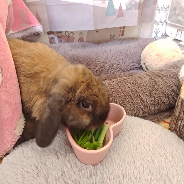 mariaさんの部屋