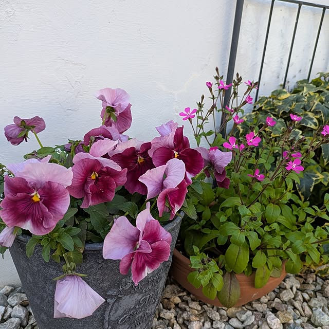 santamaruさんの実例写真