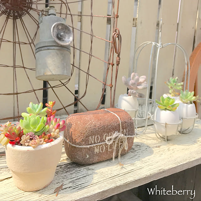 Whiteberryさんの実例写真
