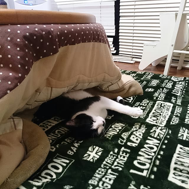 kazaneさんの実例写真