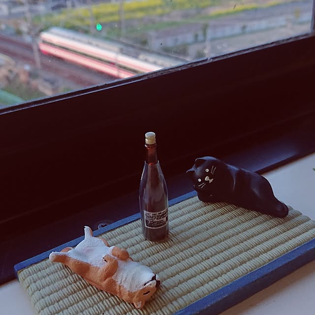NOAHさんの実例写真