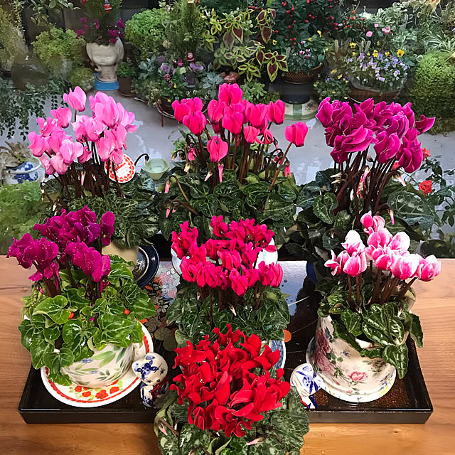 fuyiqian1026さんの実例写真