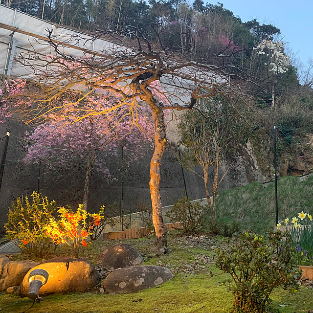 kazenさんの実例写真